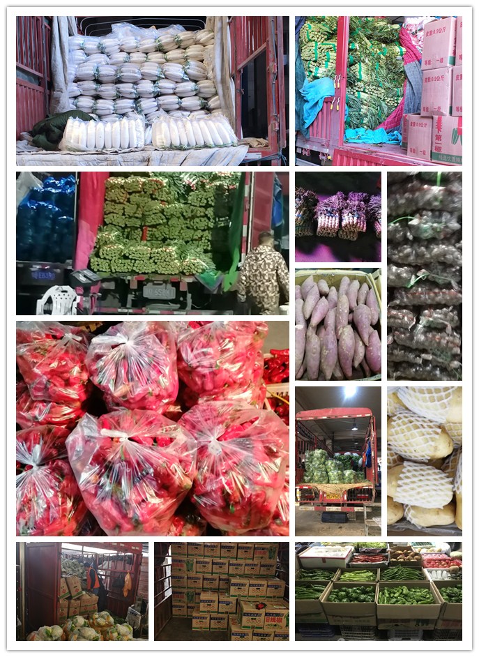 122cc太阳集成游戏(中国)有限公司官网