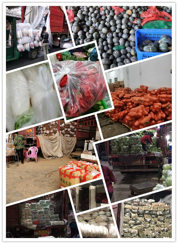 122cc太阳集成游戏(中国)有限公司官网