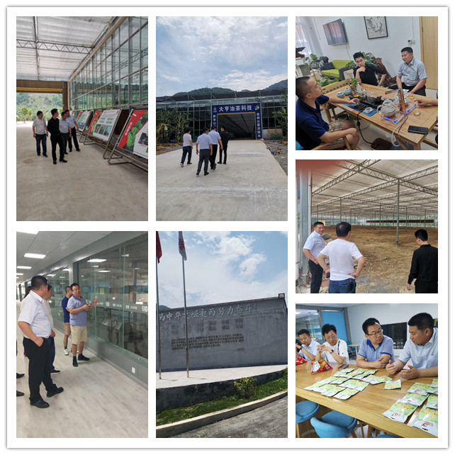 122cc太阳集成游戏(中国)有限公司官网