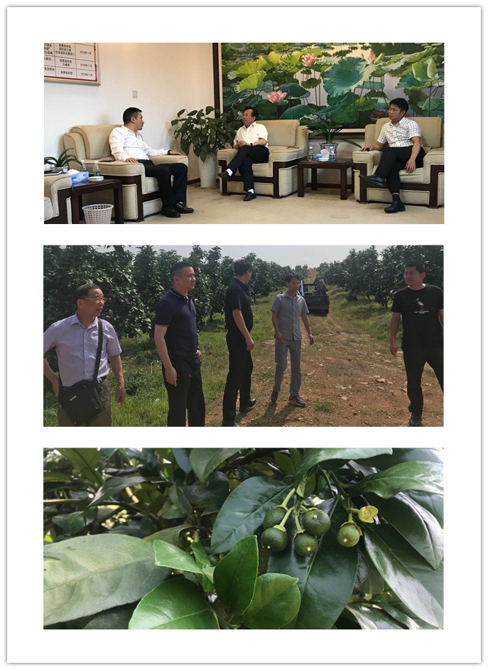 122cc太阳集成游戏(中国)有限公司官网