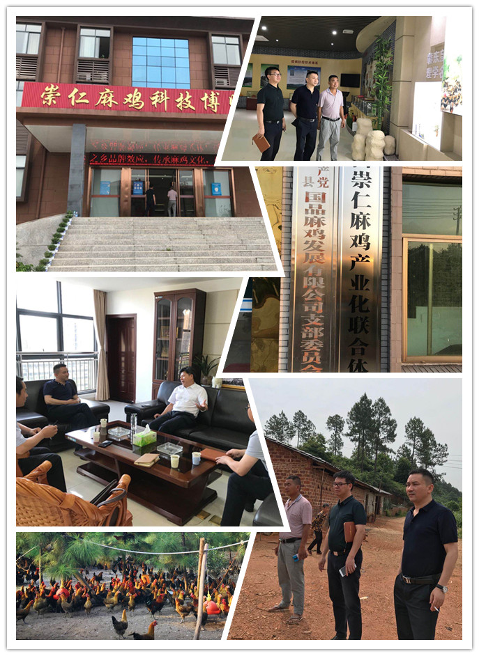 122cc太阳集成游戏(中国)有限公司官网