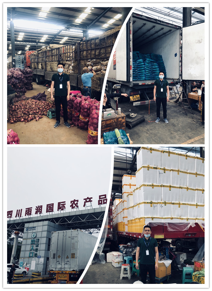 122cc太阳集成游戏(中国)有限公司官网