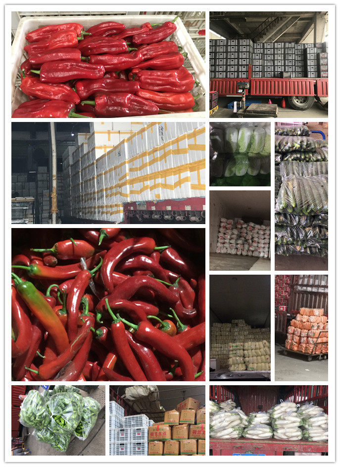 122cc太阳集成游戏(中国)有限公司官网