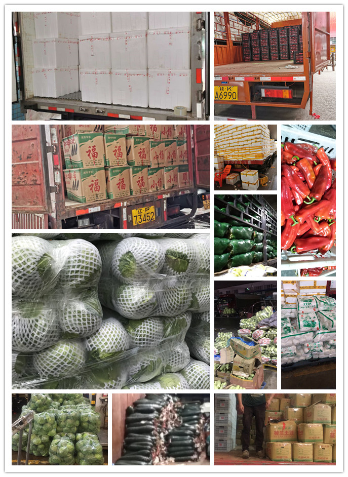 122cc太阳集成游戏(中国)有限公司官网