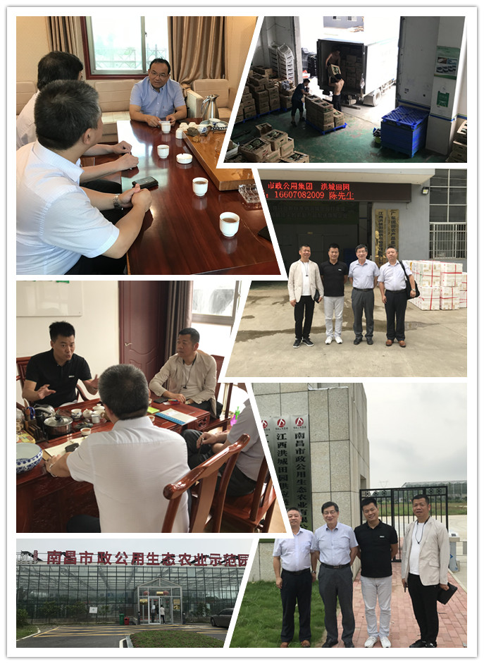 122cc太阳集成游戏(中国)有限公司官网