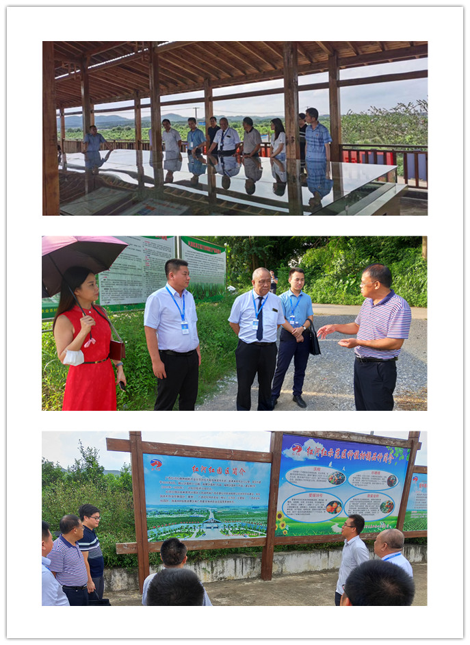 122cc太阳集成游戏(中国)有限公司官网