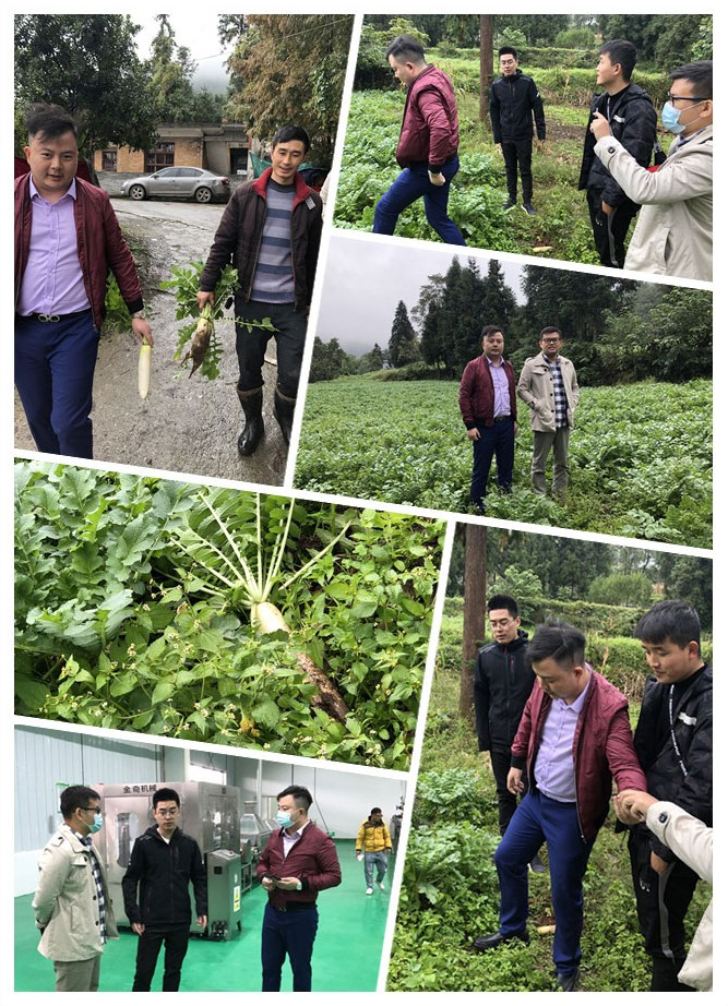 122cc太阳集成游戏(中国)有限公司官网