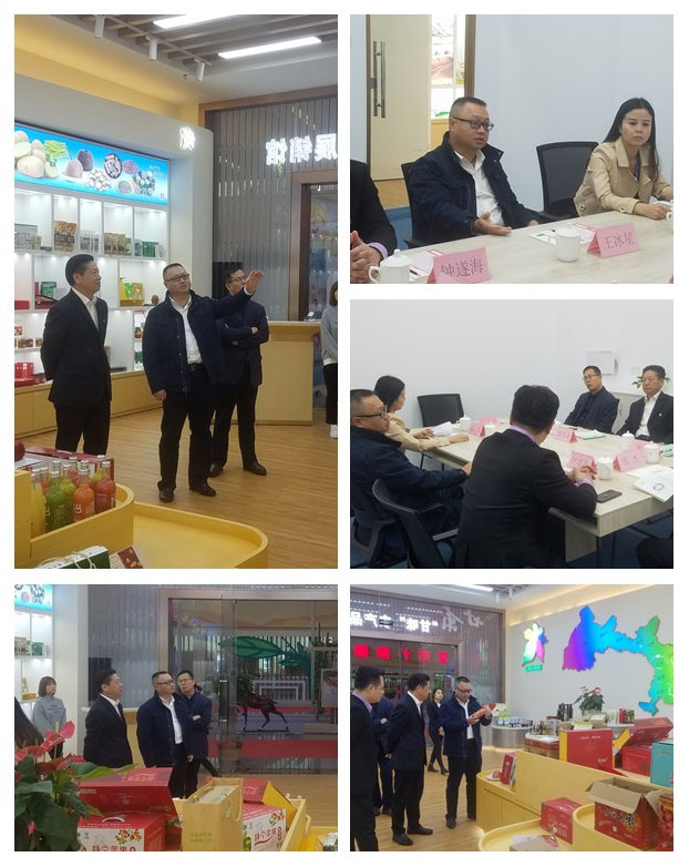 122cc太阳集成游戏(中国)有限公司官网