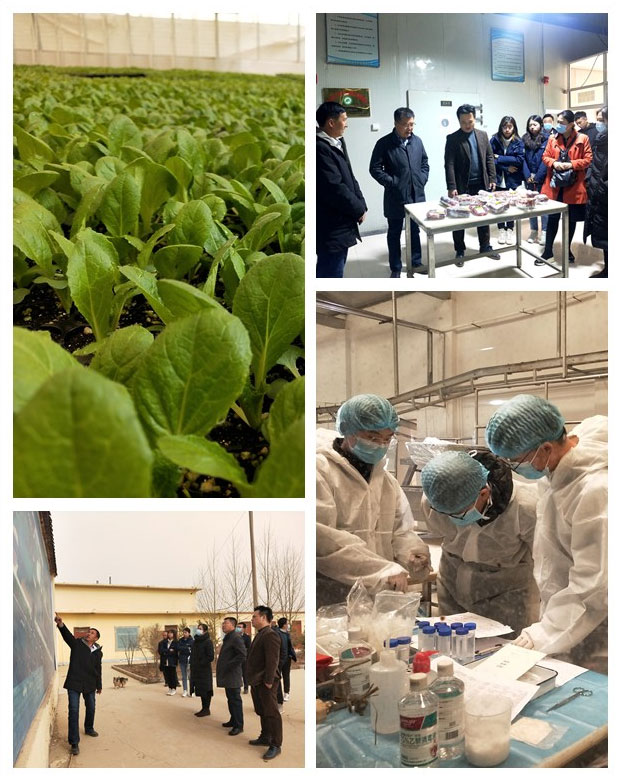 122cc太阳集成游戏(中国)有限公司官网