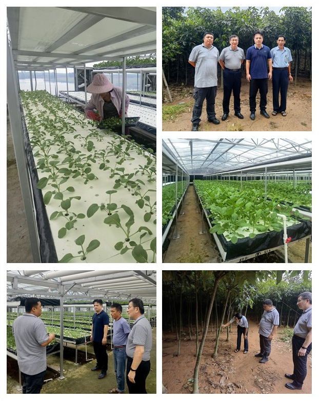 122cc太阳集成游戏(中国)有限公司官网