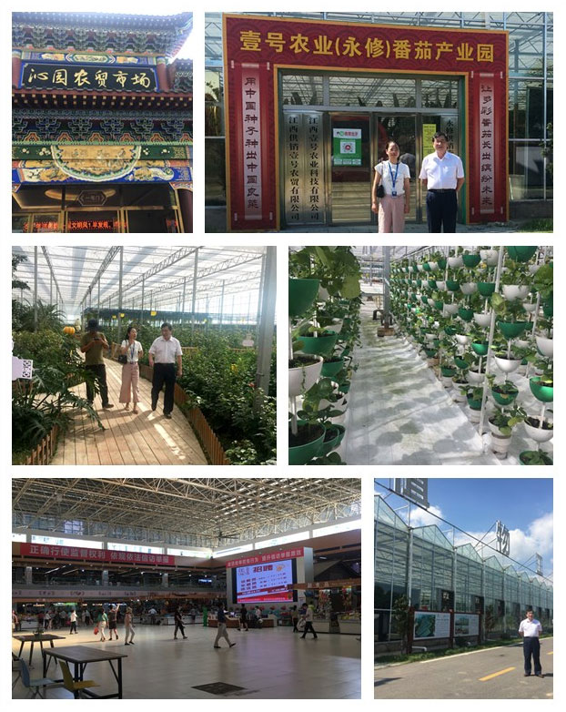 122cc太阳集成游戏(中国)有限公司官网