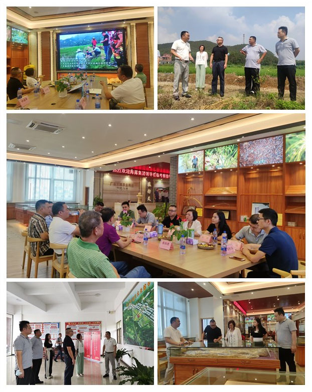 122cc太阳集成游戏(中国)有限公司官网