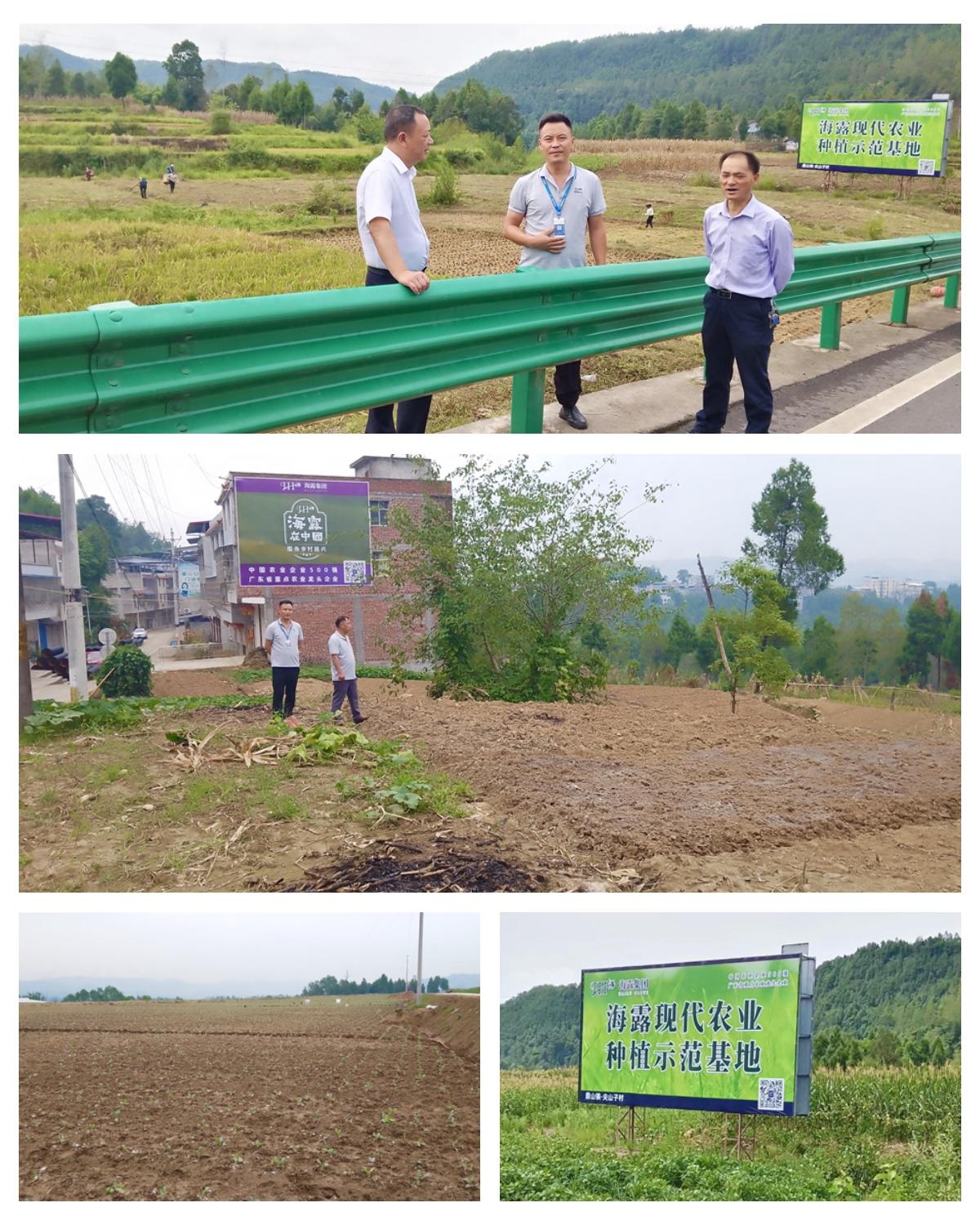 122cc太阳集成游戏(中国)有限公司官网