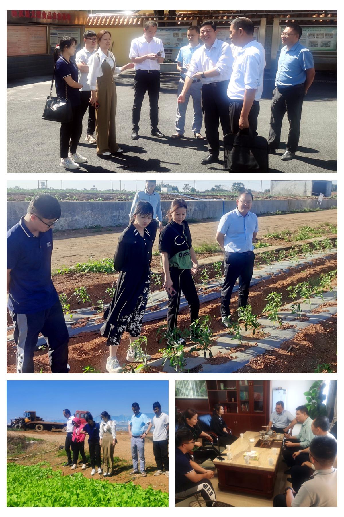 122cc太阳集成游戏(中国)有限公司官网