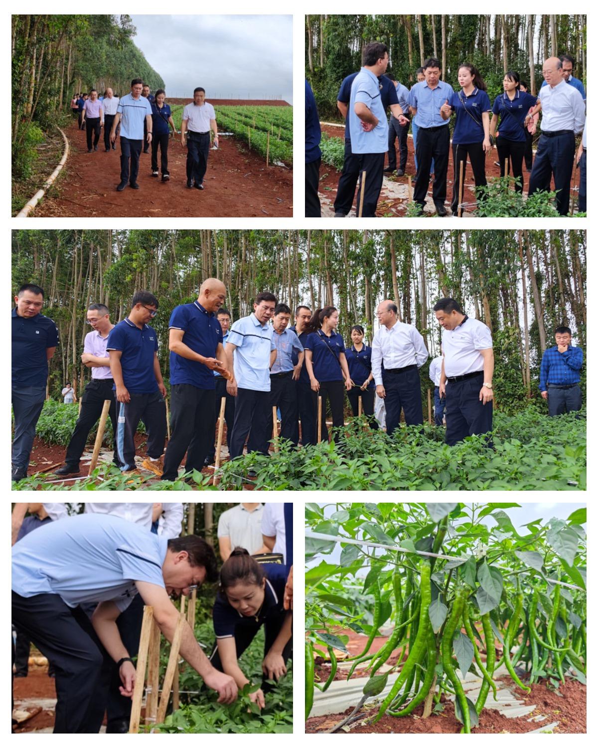 122cc太阳集成游戏(中国)有限公司官网
