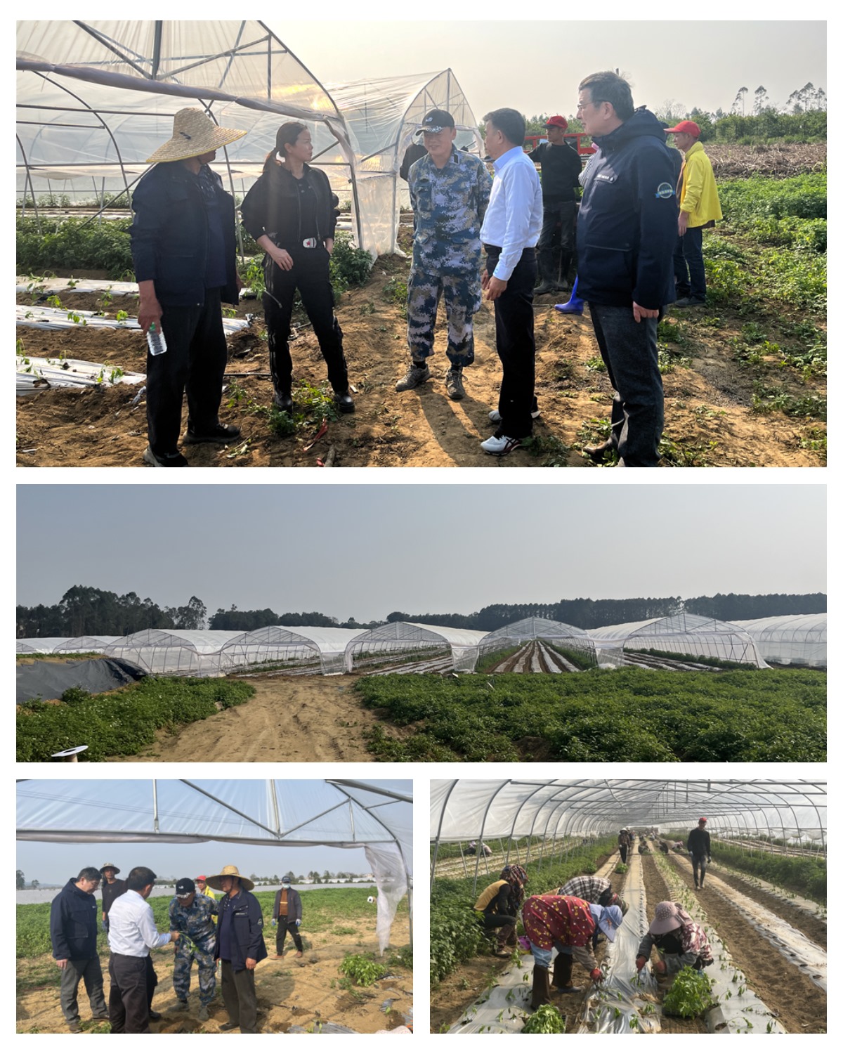 122cc太阳集成游戏(中国)有限公司官网