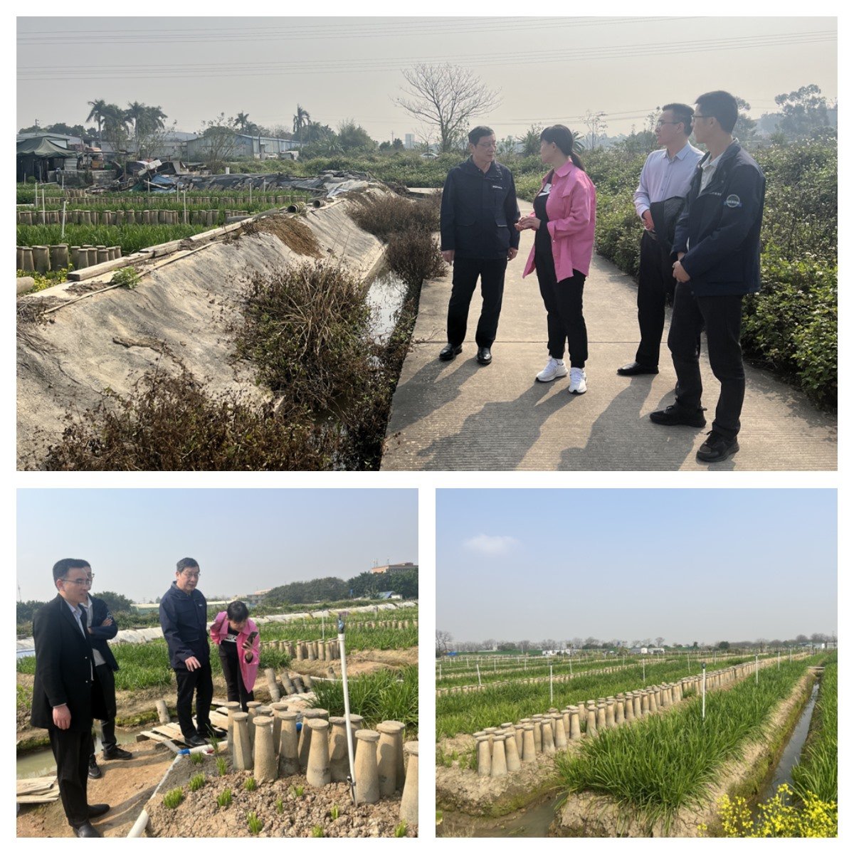 122cc太阳集成游戏(中国)有限公司官网