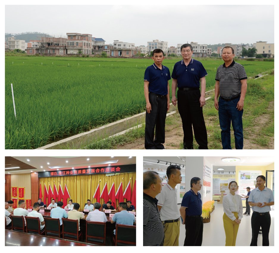 122cc太阳集成游戏(中国)有限公司官网