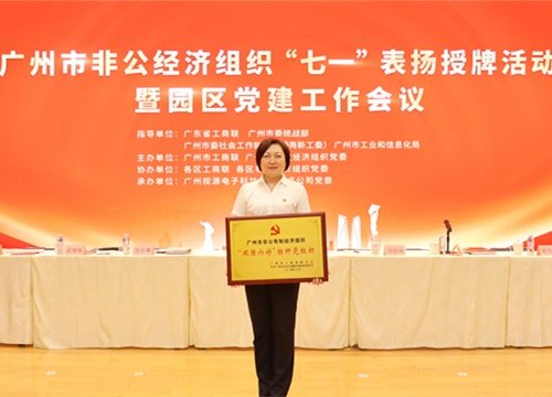 标杆引领，荣誉升级！集团党支部荣膺广州市非公有造经济组织“双强六好”标