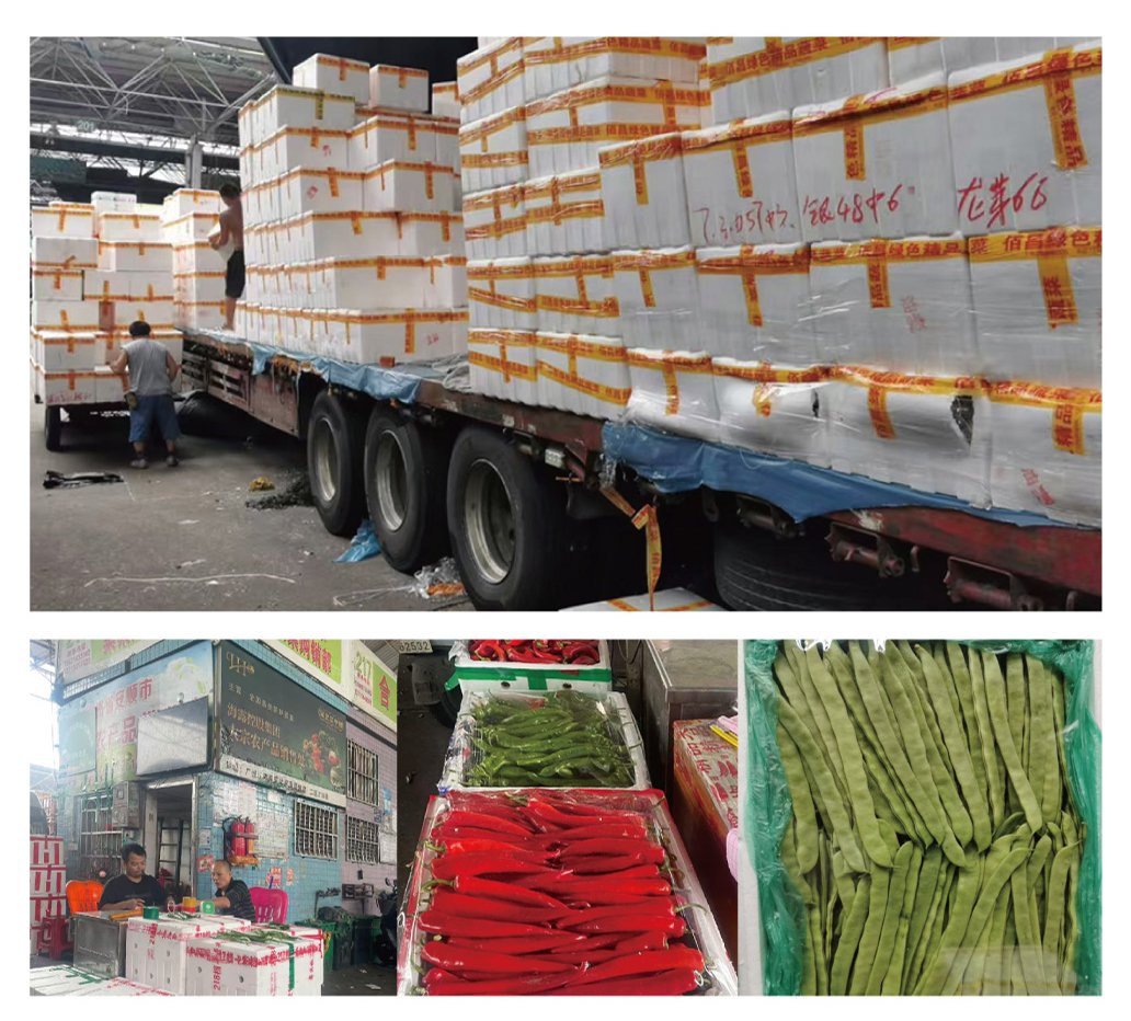 122cc太阳集成游戏(中国)有限公司官网