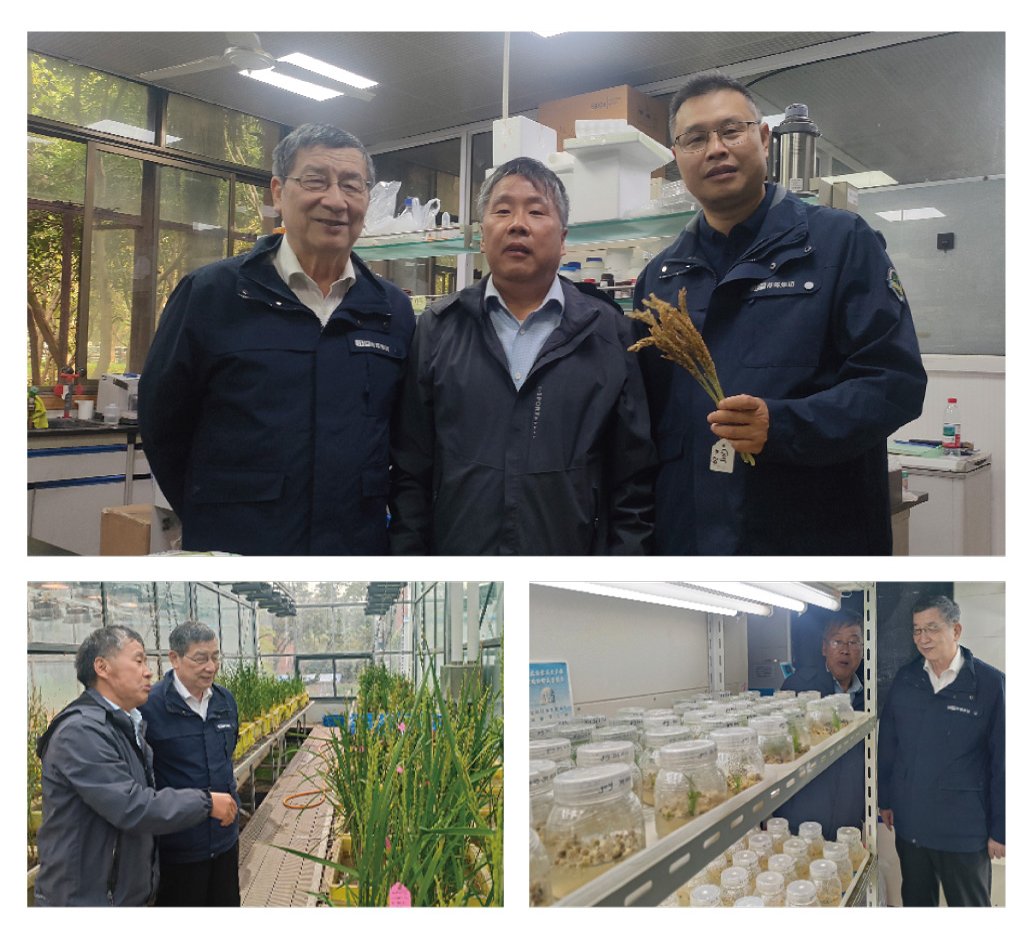 122cc太阳集成游戏(中国)有限公司官网